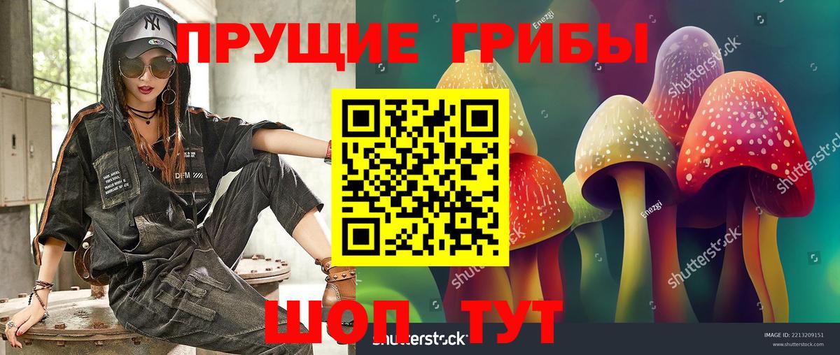 Псилоцибиновые грибы Psilocybe  Вход с VPN  Феодосия  Псилоцибиновые грибы Psilocybe 