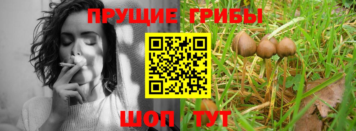 Псилоцибиновые грибы мицелий Феодосия